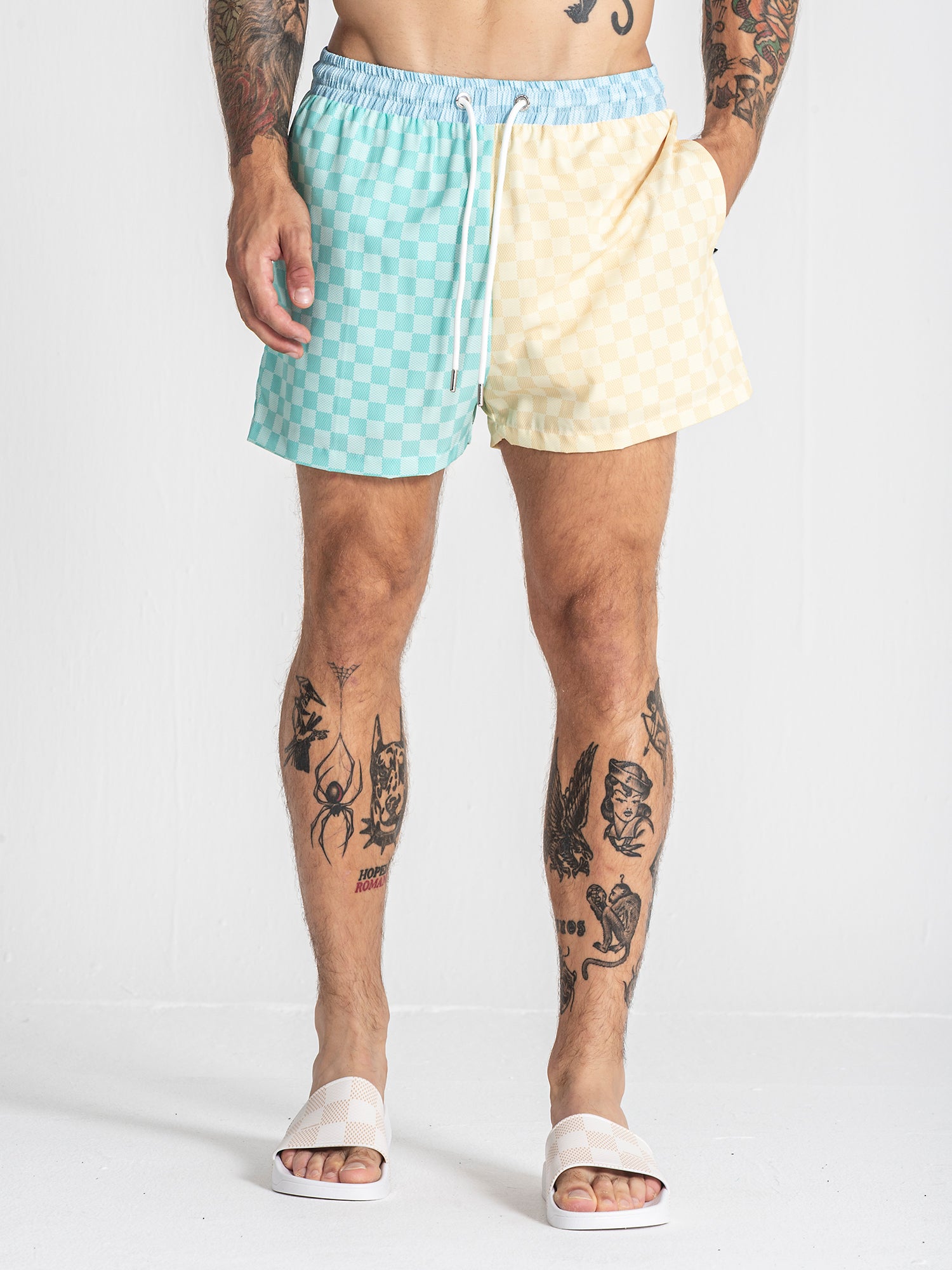 Multicolor Dreamy Swimshorts