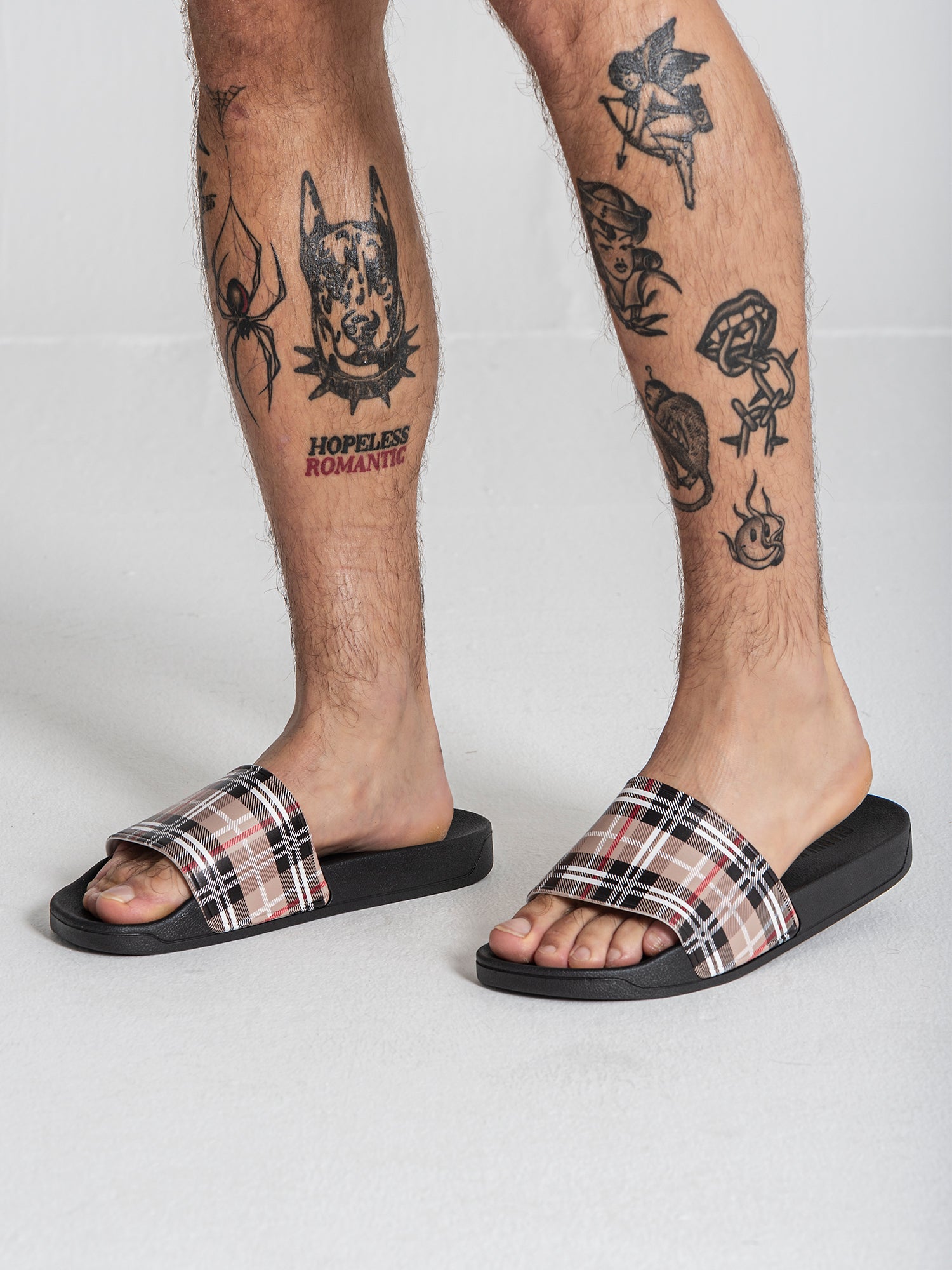 Multicolor British Sliders